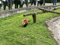 -黔灵山公园