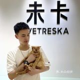 撸猫胜地🌵利路修同款未卡猫空间