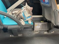 -帕帕拉兹宠物(亚洲旗舰店)