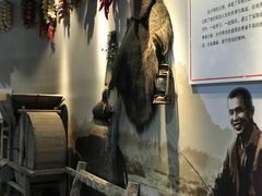 -千岛湖龙川湾