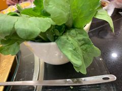 -芦月轩羊蝎子(北蜂窝店)