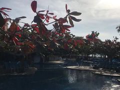 -三亚亚龙湾天域度假酒店