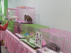 -上品折扣(回龙观店)