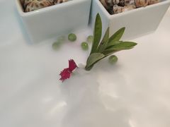 -花城粤菜餐厅(高新区店)