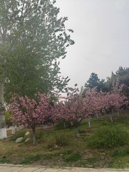 -鼎极摄影(朝阳CBD店)