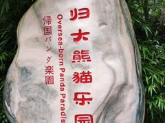 -中国大熊猫保护研究中心雅安碧峰峡基地