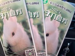 -秦皇岛野生动物园