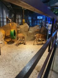 -酷嗒动物文化乐园(cutezoo西溪乐天城店)