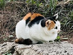 -颐和园