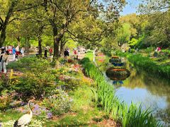 -上海共青森林公园