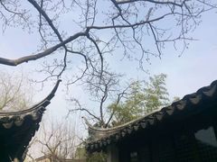 -艺圃