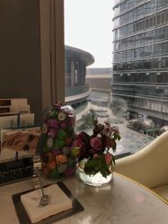 -贞禾医美·连锁