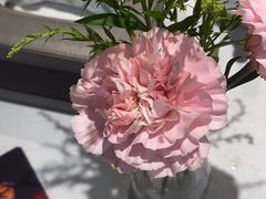 -潮州府·潮菜·砂锅粥(徐家汇店)