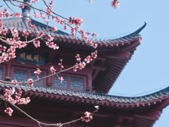 -堤角公园