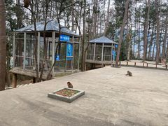 -千岛湖东南湖区