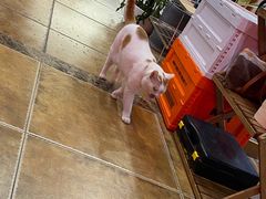 -B.O.M波姆烘焙(凤凰街店)