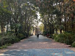 -苏州河梦清园环保主题公园