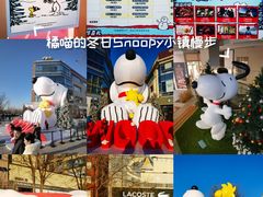 -中粮·祥云小镇