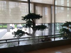 -潮上潮(南中环店)