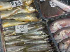 -外沙富龙城酒楼(老街店)