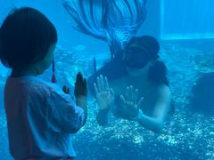 -海棠湾洲际-涛·海底餐厅·美人鱼·自助餐·海底隧道