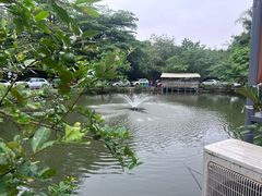 -南海鸽天下(肇庆店)