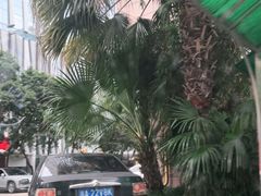 -成都泰合国际大饭店(春熙路太古里店)