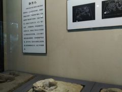 -西安青龙寺遗址景区