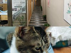 -宝安中心(地铁站)