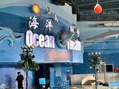 -苏州海洋馆