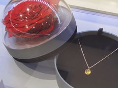 -ROSEONLY诺誓(广州K11店)