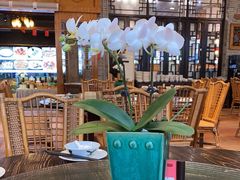 露天位-猪肉婆私房菜(容桂总店)
