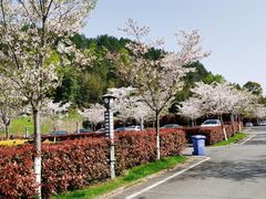 -宜春明月山维景国际温泉度假酒店