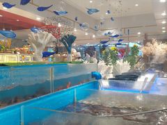 -红透天牛排海鲜自助(长和国际直营店)