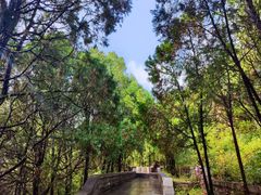 -四门塔风景区
