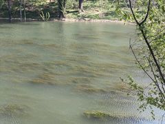 -坝河休闲公园