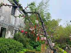 -田园东方蜜桃村的田野营地
