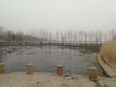 -绿堤公园