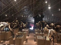 -世界恐龙谷景区