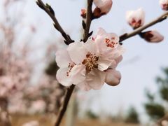 -有锞私房菜(良乡大学城店)