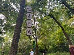 -灵隐飞来峰景区