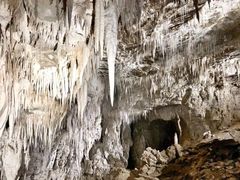 -怀托摩萤火虫洞