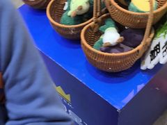 -斯坦星球AI编程·机器人科创·乐高科学·信奥·思维·专注力·STEM·竞赛考级(高新区绿宝广场龙湖狮山天街学习中心)