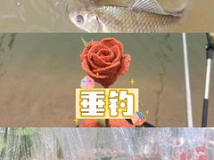 -上海山野camping·户外天幕烧烤·团建拓展营地