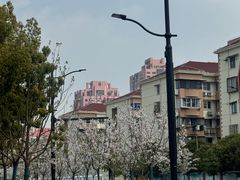 -如家商旅酒店(上海陆家嘴世博中心店)