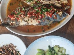 千岛湖野生有机鱼-丰乐餐厅·始于1999·本地老字号