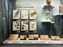 -四川大学博物馆