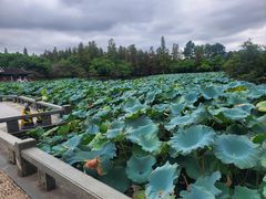 -星巴克(杭州大厦C座店)