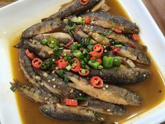 -小小饭店·休闲农庄·安吉松树林里的农家菜