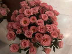 -尊尚柏丽美容SPA